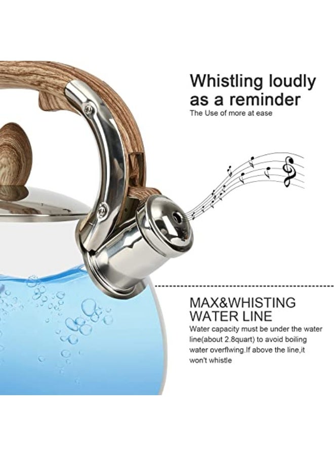 غلاية شاي ستانلس ستيل غذائي 18/10 عالية الجودة بسعة 3 لتر مع صفارة تنبيه عند الغليان – غلاية ماء توضع على البوتاجاز سريعة الغليان مقاومة للصدأ والحرارة حتى 150 درجة مئوية – كاتل شاي بمقبض آمن معزول للحرارة وغطاء واسع لسهولة التعبئة والتنظيف – غلاية شاي وقهوة وأعشاب ومشروبات ساخنة للاستخدام اليومي في المطبخ المنزلي والمكاتب والمقاهي والمطاعم – تصميم متين عملي طويل العمر مناسب لجميع أنواع المواقد الغازية والكهربائية والسيراميك - Image 3